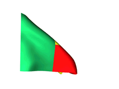 Benin_240-animated-flag-gifs